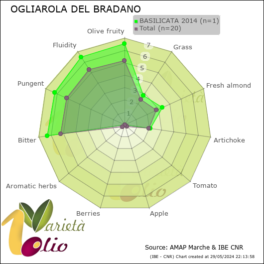 Profilo sensoriale medio della cultivar  BASILICATA 2014